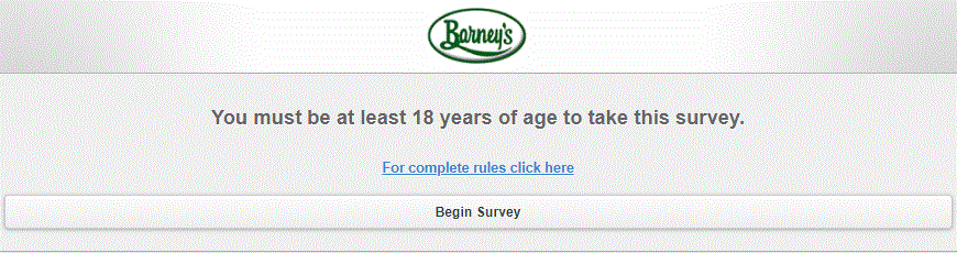 Barneys Customer Experience Survey