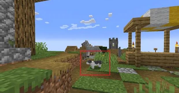 Breed Cats in Minecraft