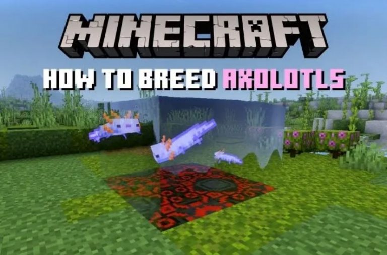 Breed and Tame Axolotls in Minecraft