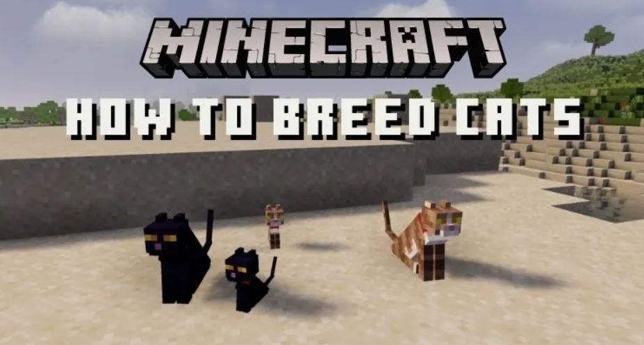 Breed Cats in Minecraft 