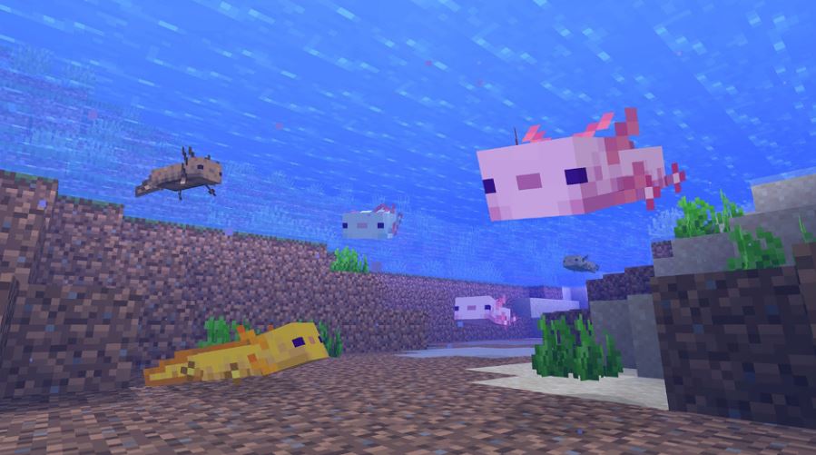 Where to Find Axolotls in Minecraft