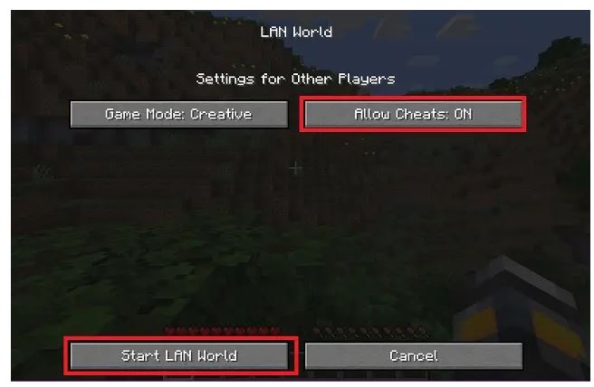 Java MC lan world option