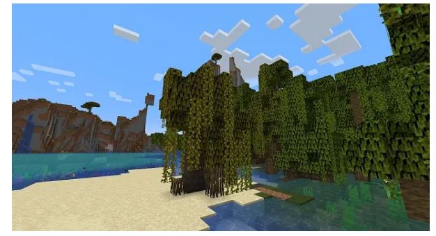 Mangrove Swamp in Minecraft