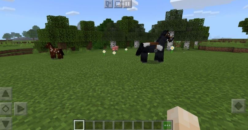 Saddle on a Horse in Minecraft
