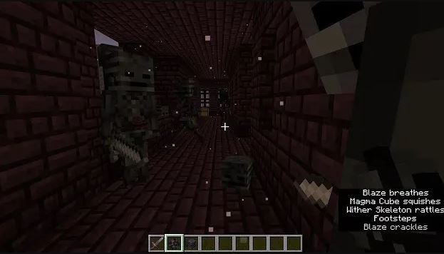 Wither Skeleton Skull in Minecraft