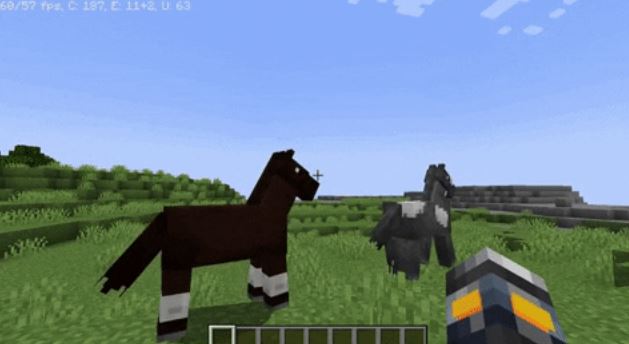 horse in minecraft