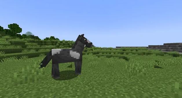 horse minecraft
