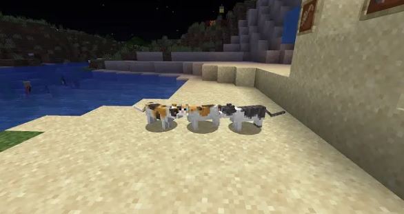 how to tame cat minecraft