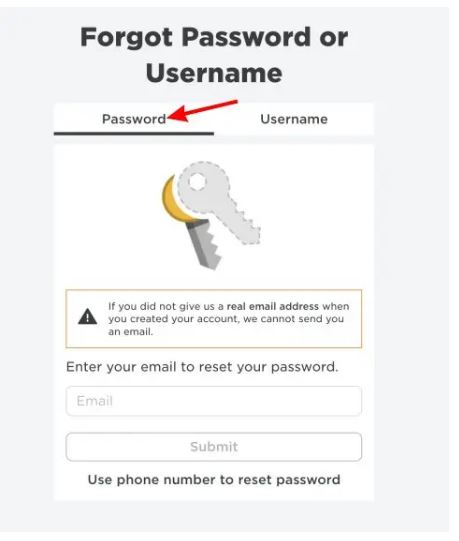 Roblox Login Password